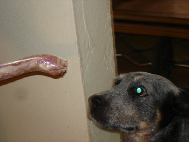 n10126376_40865819_9854