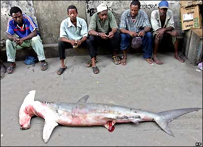 _40985828_4zan_fisherman_ap