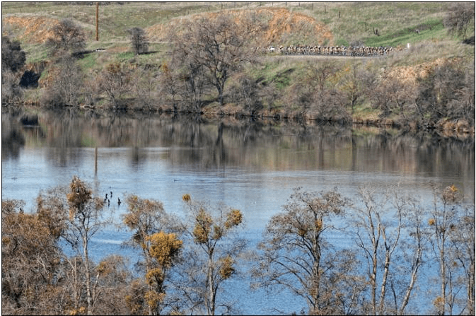 Screen shot 2013-02-28 at 6.15.11 PM