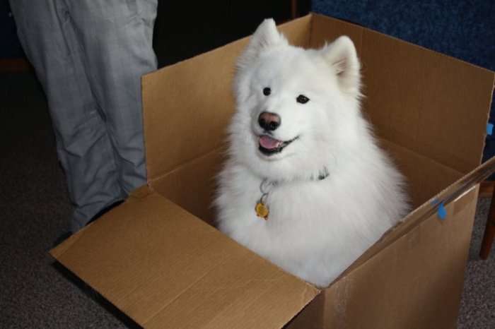 30011_725597255236_1234113_n