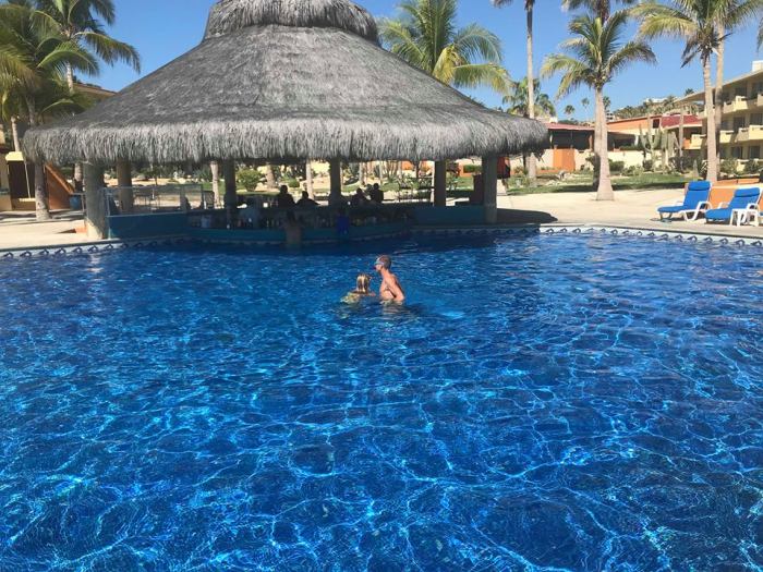 46102199_194501198138247_2611410523366883328_n